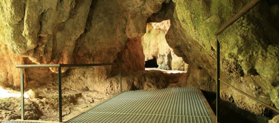 coves_interior-1024x682.jpeg