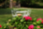 Salon jardin blanc.jpeg