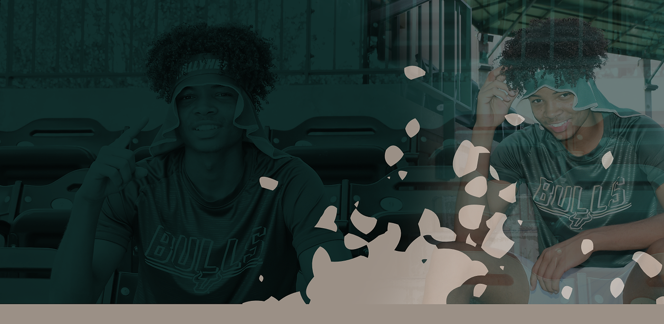 Header_Rallyhed Graphic.png