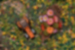 2026-04-14-MetierBimBamBoom-MarionGUILLAUME-TatianaMAURINES-73_WEB.jpg