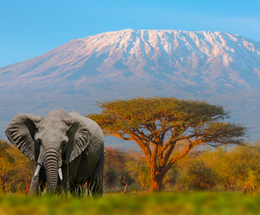 Tanzania.png