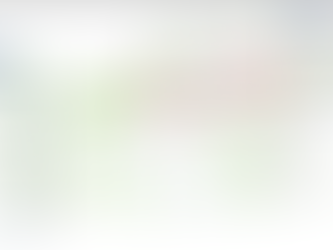 Compte-rendu de la réunion de présentation du projet de fermeture et embellissement de la résidence.