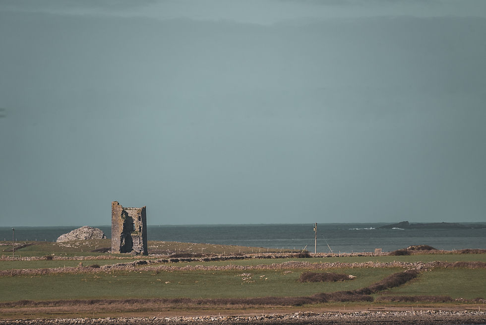 DSC_8838.jpg