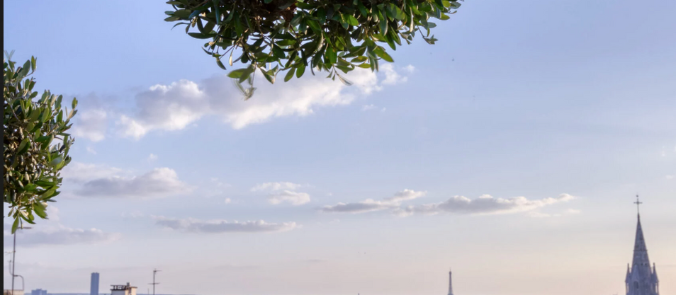 Paris Beyond the Obvious: Seven Quiet Cultural Corners