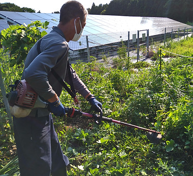 施設への侵入路確保作業.JPG