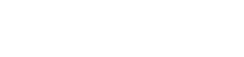 Shannon Slam Ridley.png