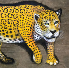 Onça Pintada