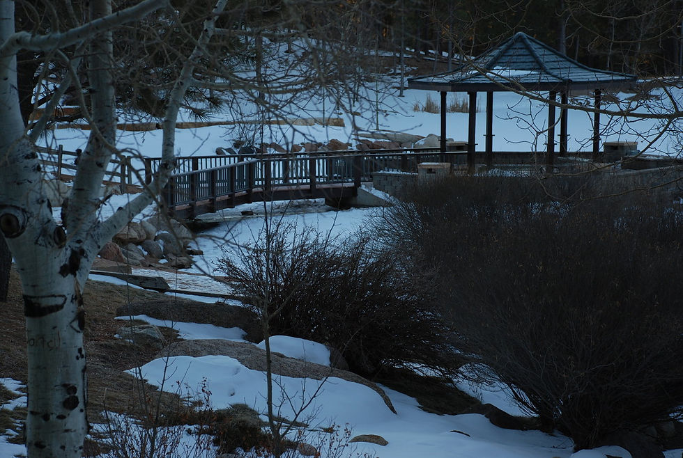 Fox Run Park