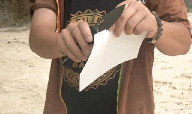 image12.gif