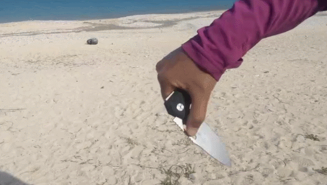 image19.gif