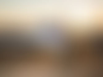 CFI job at Kansas State University