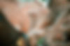 DSC_0113web.jpg