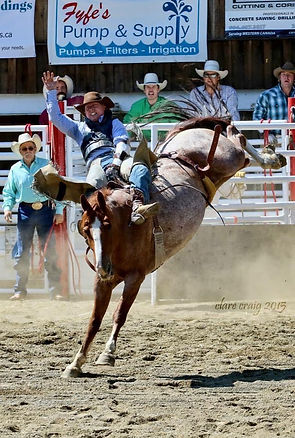 X99 Coombs Rodeo, 2015