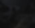 header_bg2kopie.jpg
