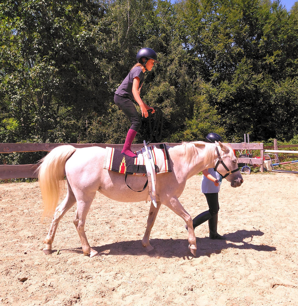 Nos acrobates !