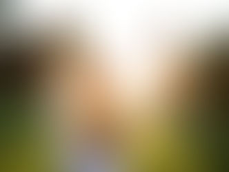 Fresh Air for the Soul: Spring Cleaning Your Energy