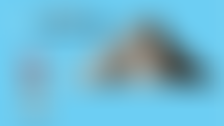 Virtual Reality Tourism