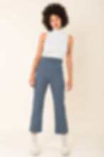 Smithy Pant in Blue Stripe