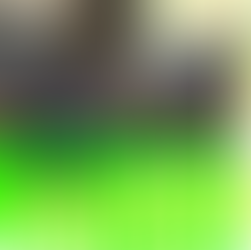 Carinho e e dignidade para os cidadãos em situação de rua.