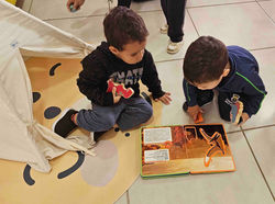 Identificando os Dinossauros