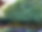IMG_3079.png