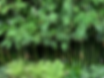 Photo 4-3-2024, 10 50 55 am.png