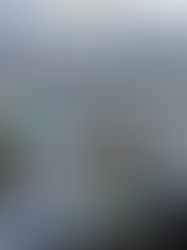 Neu: Unser Morgenfrühstück bei der FRESHFOOD-STATION in Visp