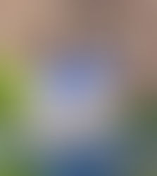 Ep 82: Do *Less* Laundry During Postpartum