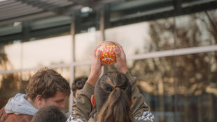 Fall_Fest.no.Logo-11.jpg