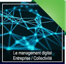 Management_DIGITAL_entrepri.webp
