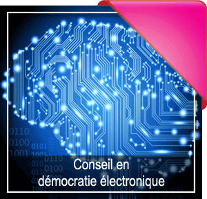 Conseil démocratie électronique - Politique Numérique