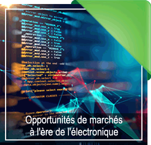 Conseil Net Business - Opportunités de marchés - Conseil Politique Numérique