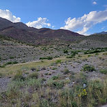 20211001_173049.jpg