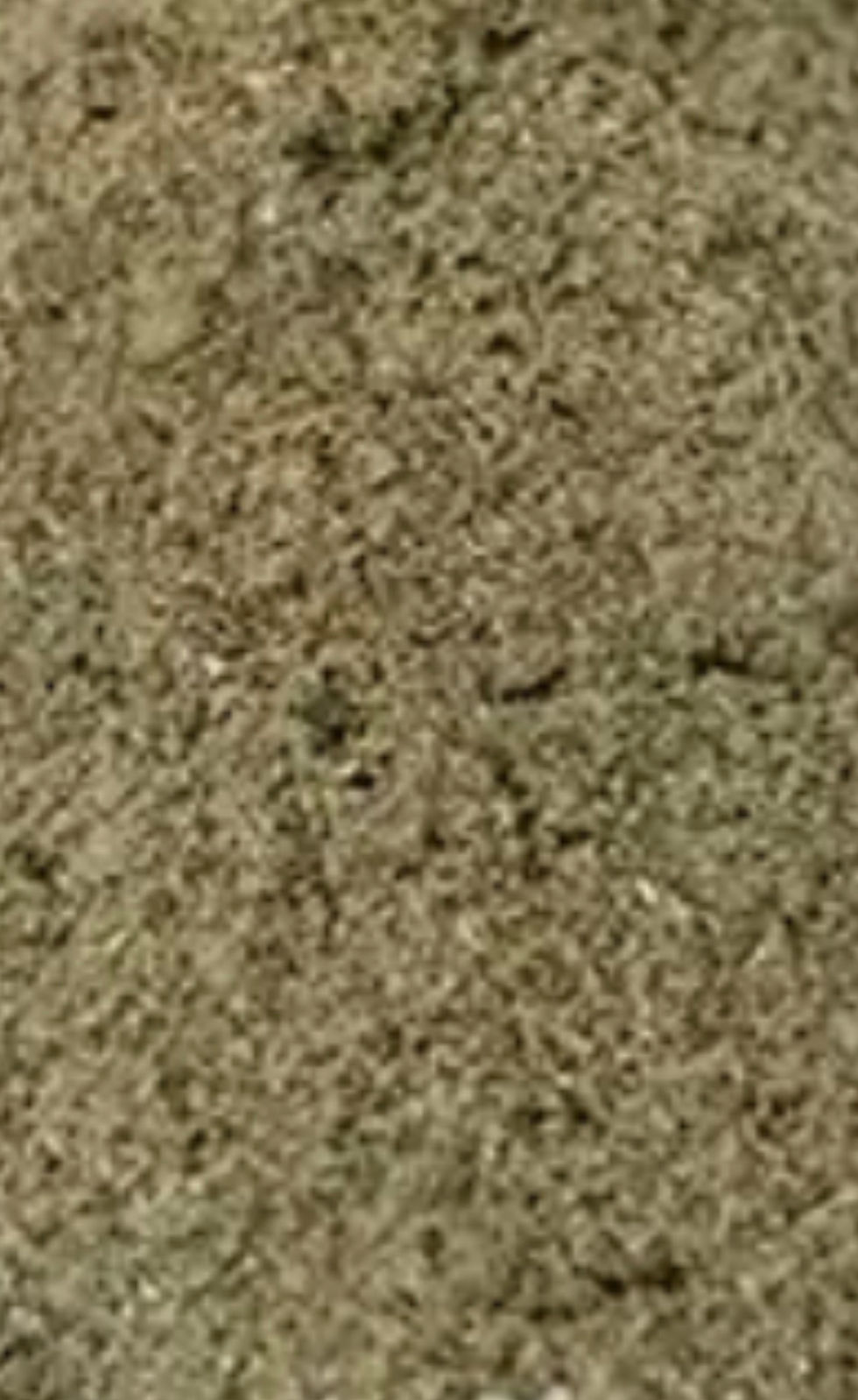 Thumbnail: Worm Chow