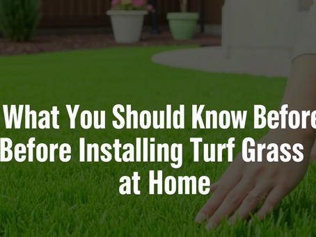 What You Should Know Before Installing Turf Grass at Home