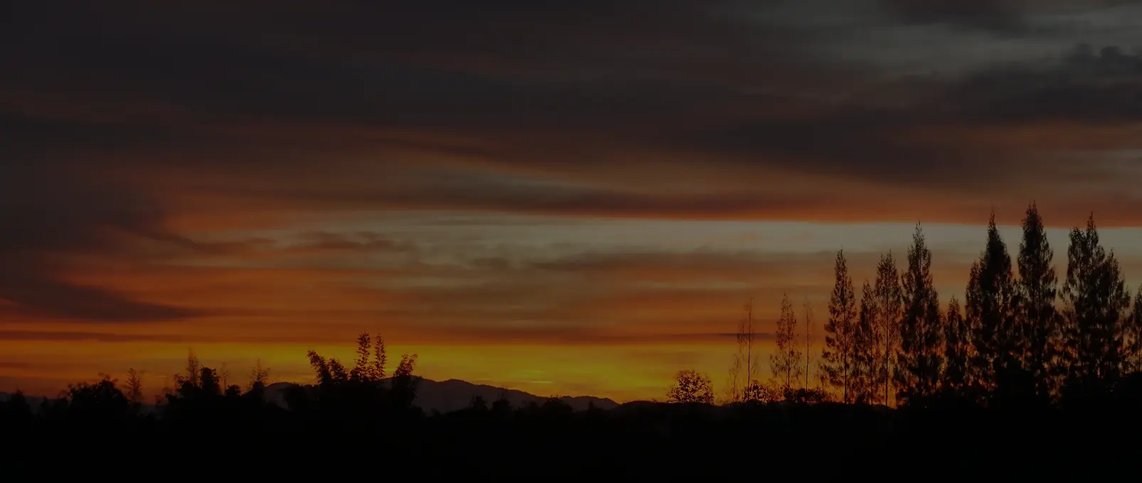 LINA CHUB banner livro 01.webp