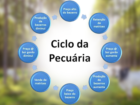Crise ou oportunidade: o que podemos aprender com o ciclo pecuário?