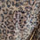 Thumbnail: Leopard Sequin Blazer