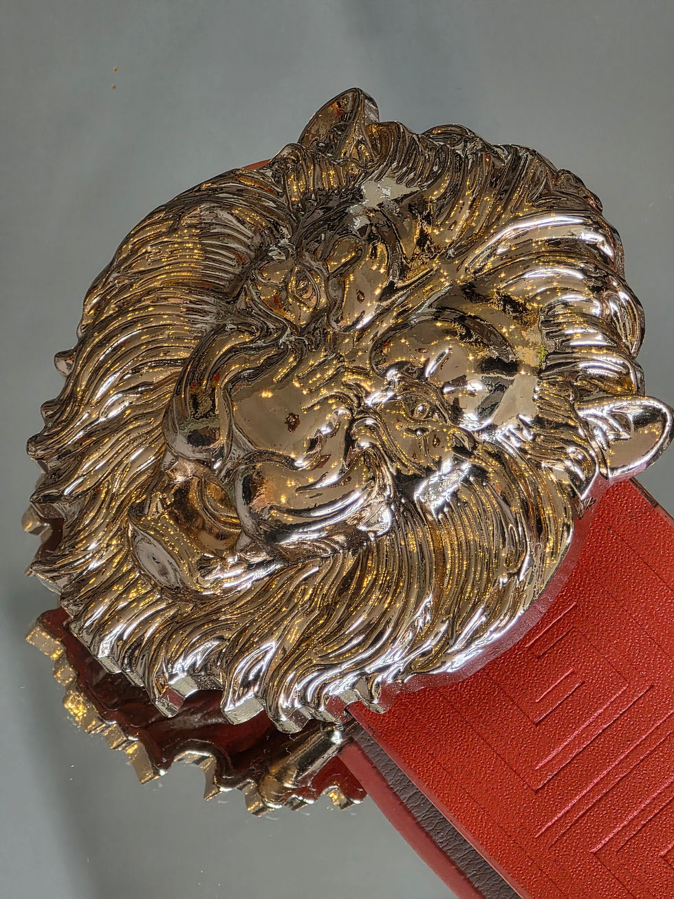 Thumbnail: Orange Lion Belt