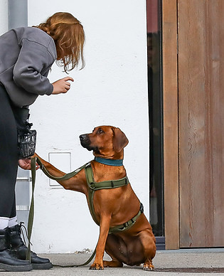 Ava 150A0658_edited.jpg