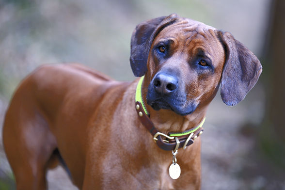 0140 - 10x15 - Arko_edited.jpg