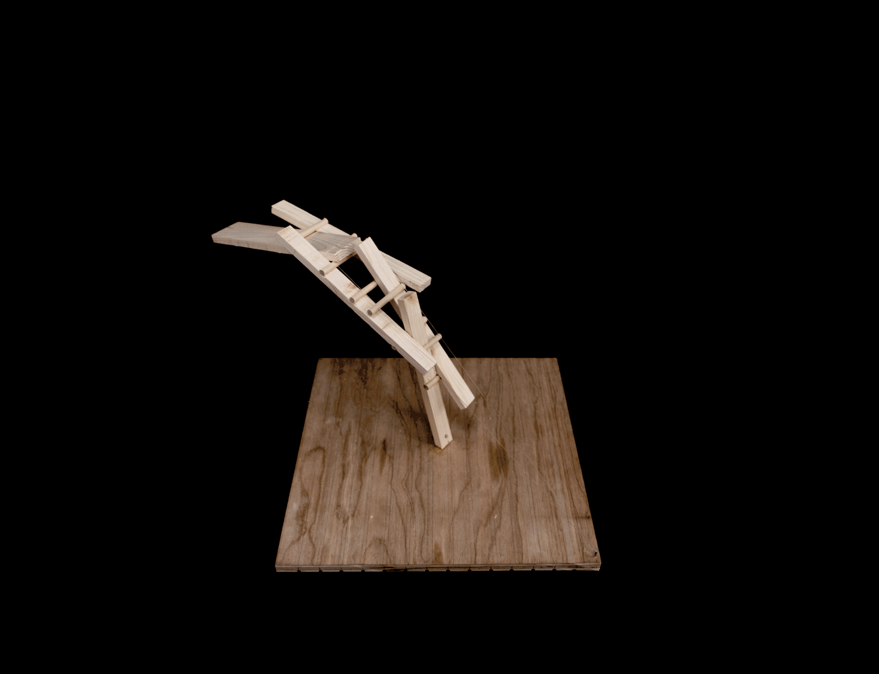 01_Model_BW.gif