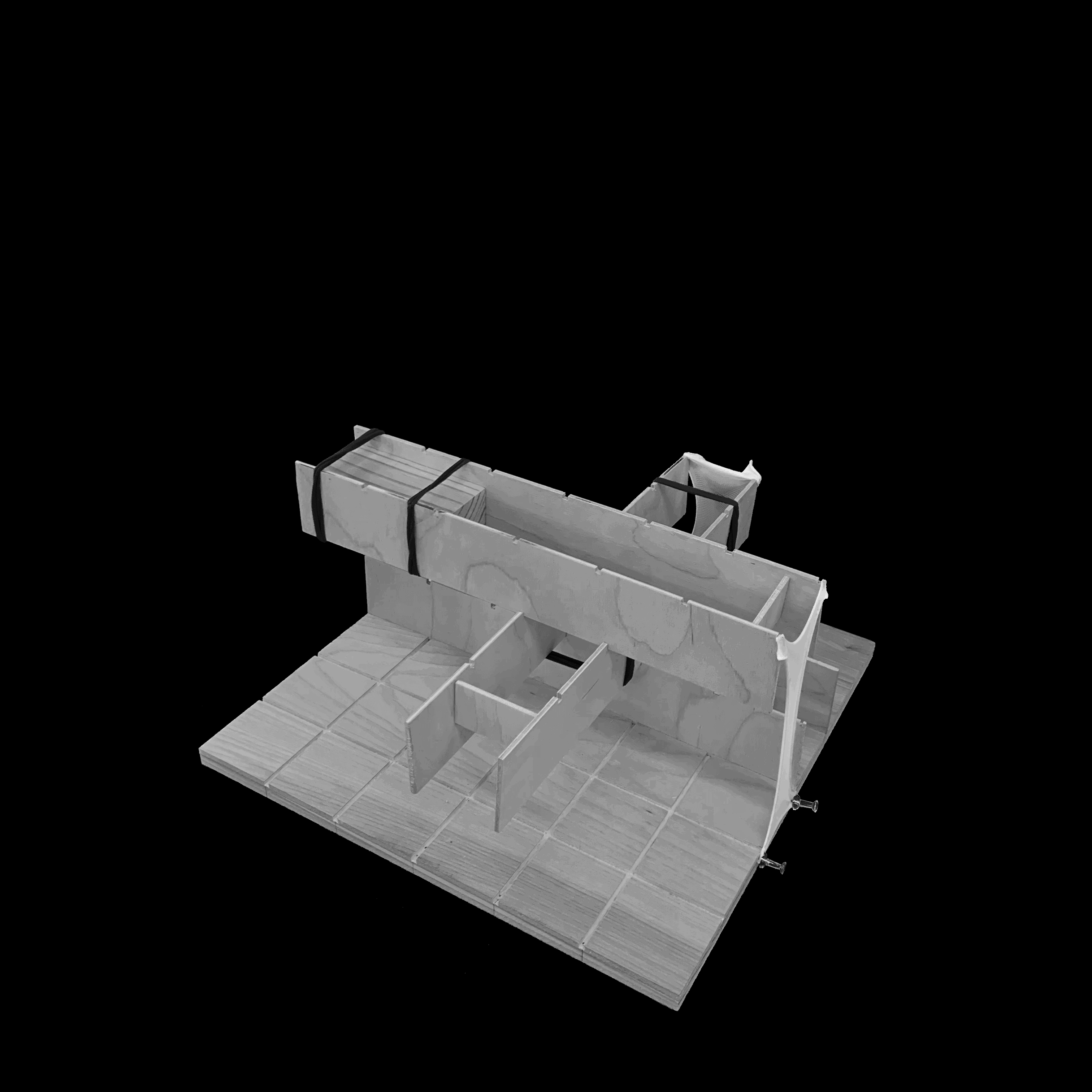 20RM08_GIF BW.gif
