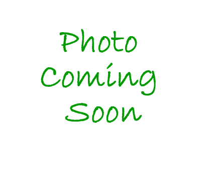 Photo Coming Soon.gif