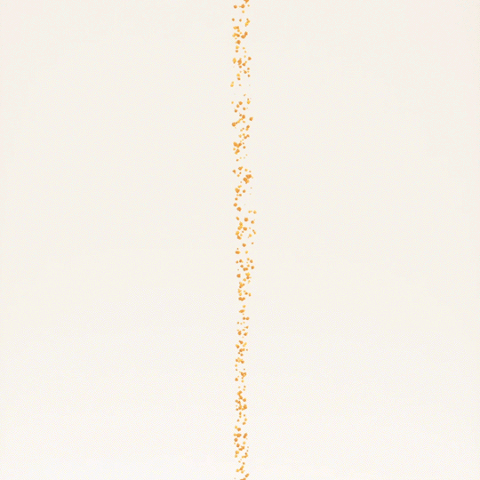 04_BM_LaunchPost_1x1_540.gif