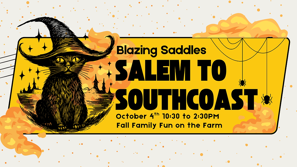 Salem to Southcoast.png