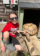 Tortoise Summer Camp