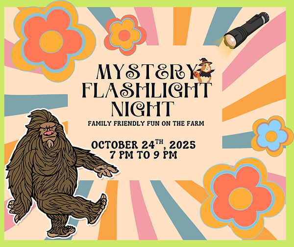 Mystery FLNIGHT.png