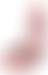 The hololive card game, Elite Spark!, launches on March 21st! Sakura Miko & Inugami Korone join the battle!