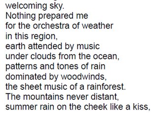 Rainforest: Vancouver 1999 by Sharon Berg